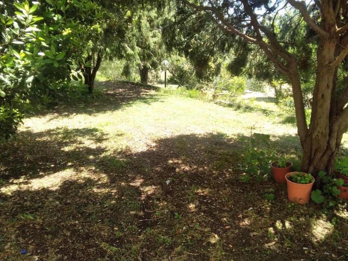 B&B Daillu Olbia Dış mekan fotoğraf
